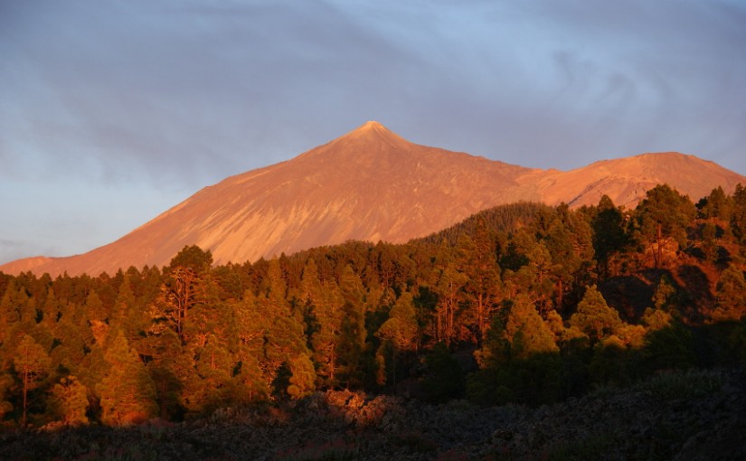 Tenerife (Canaries)