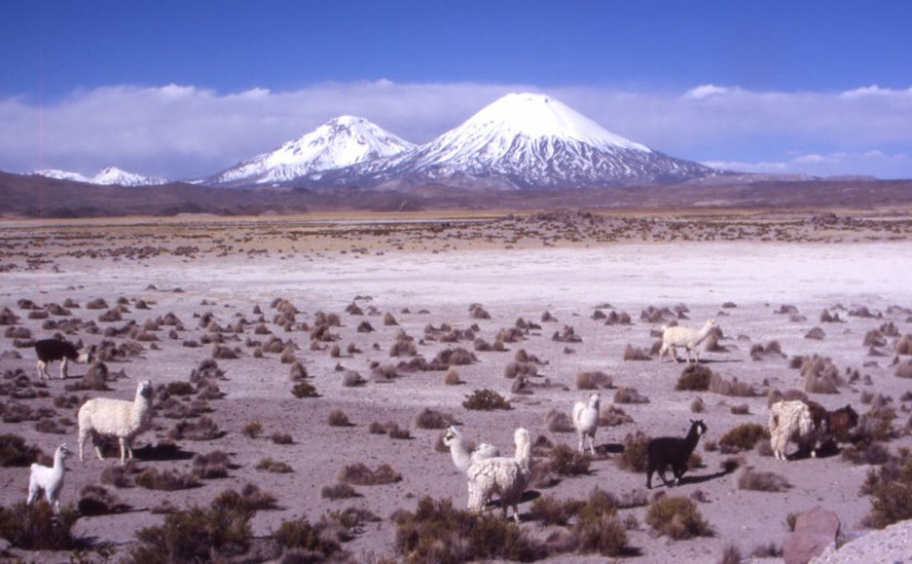 Parinacota et Pomerate (Chili)